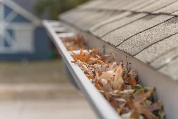 Leaf Barrier Installation in Vancouver
